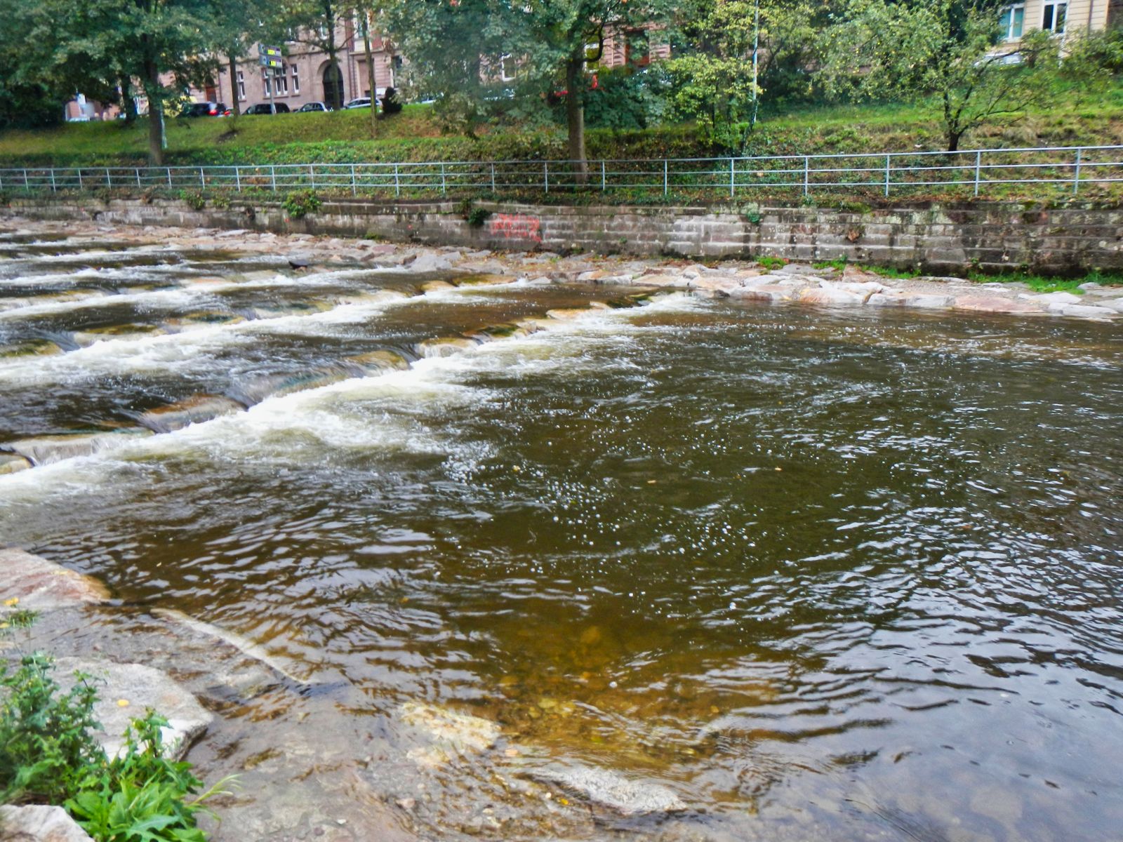 Dreisam aktuell IG Dreisam e.V.