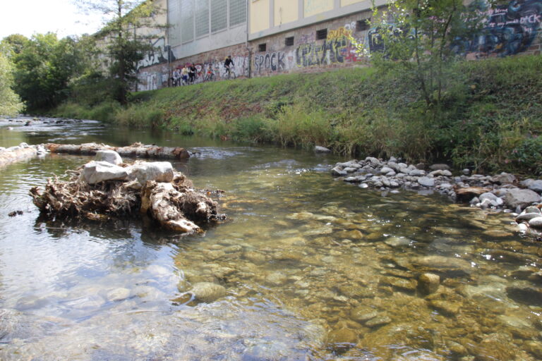 Revitalisierter Abschnitt der Dreisam bei der Brauerei Ganter